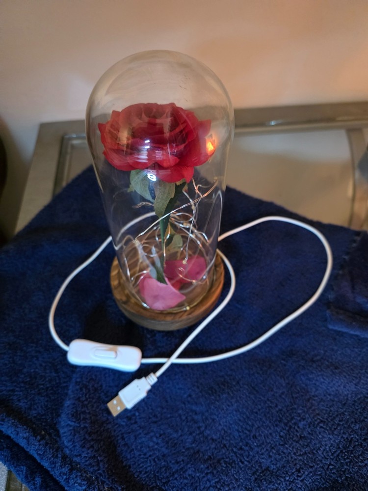 Light up Rose in Dome