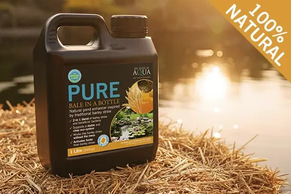 Evolution Aqua Pure Pond Bale in a Bottle