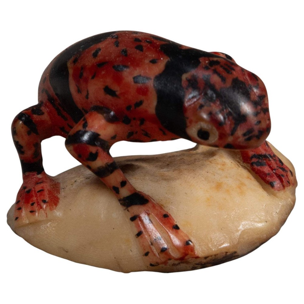 Gold And Black Undercut Poison Dart Frog Tagua Carving