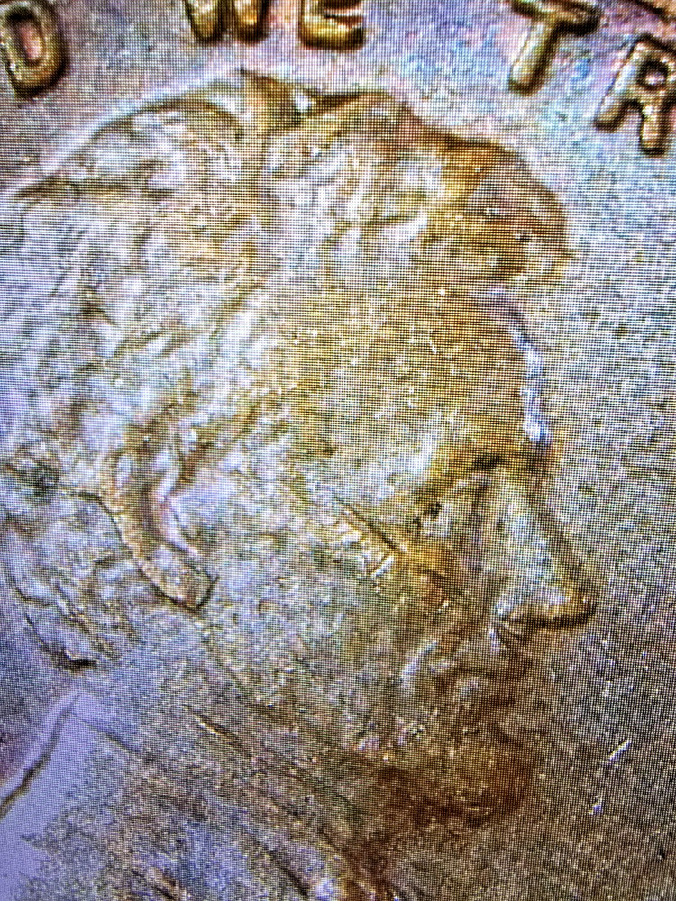 NM 1981 Lincoln Memorial Penny RD Obverse-Reverse Letters Errors