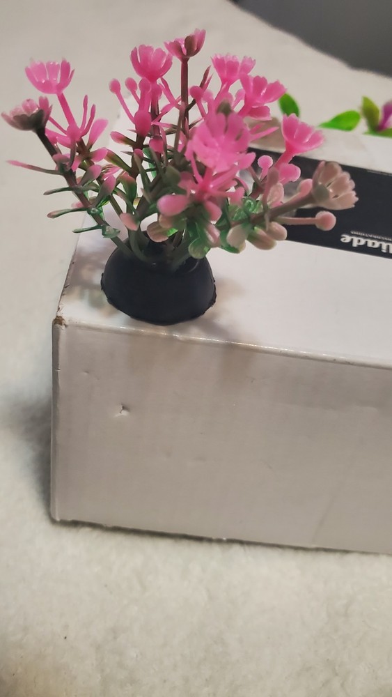 Decoracion Pecera