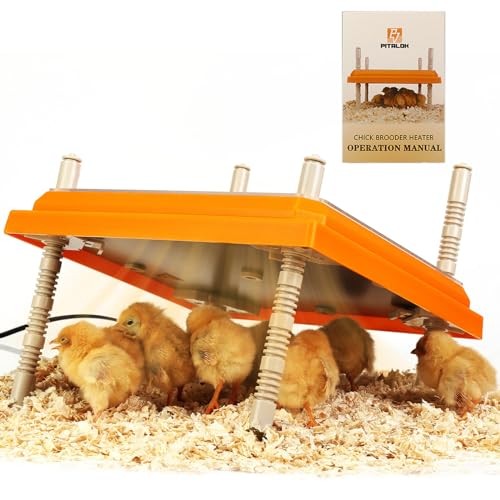 Brooder Heater for Chicks: Chick Brooder Heating Plate with Easy- Orange-10x10