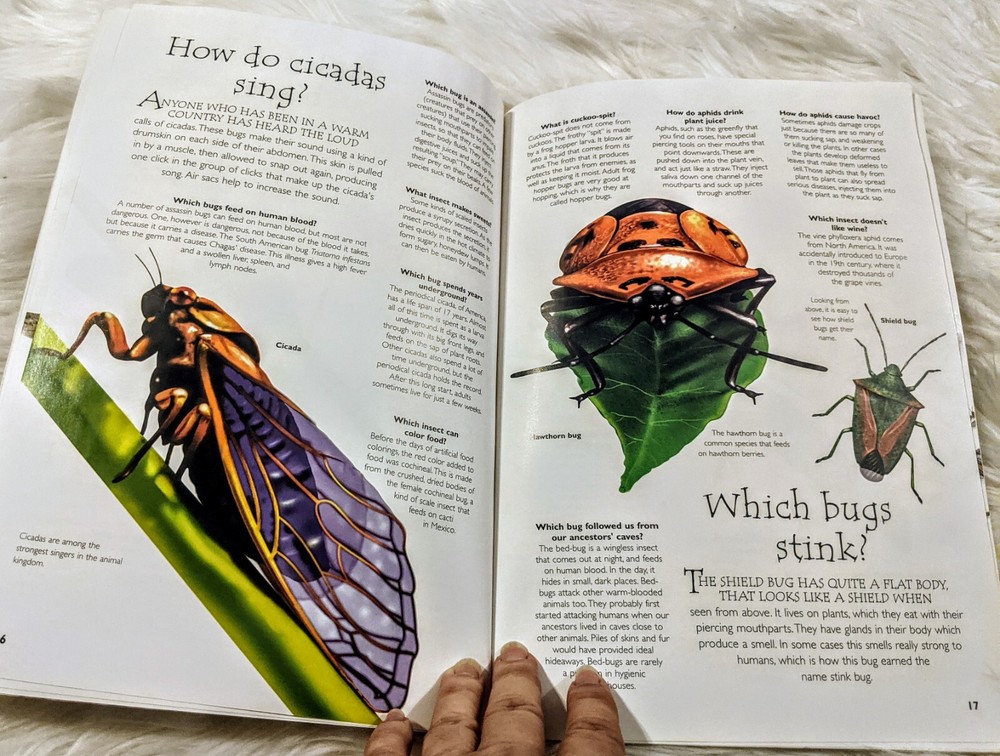 Insect Bug Books With Plastic Bugs