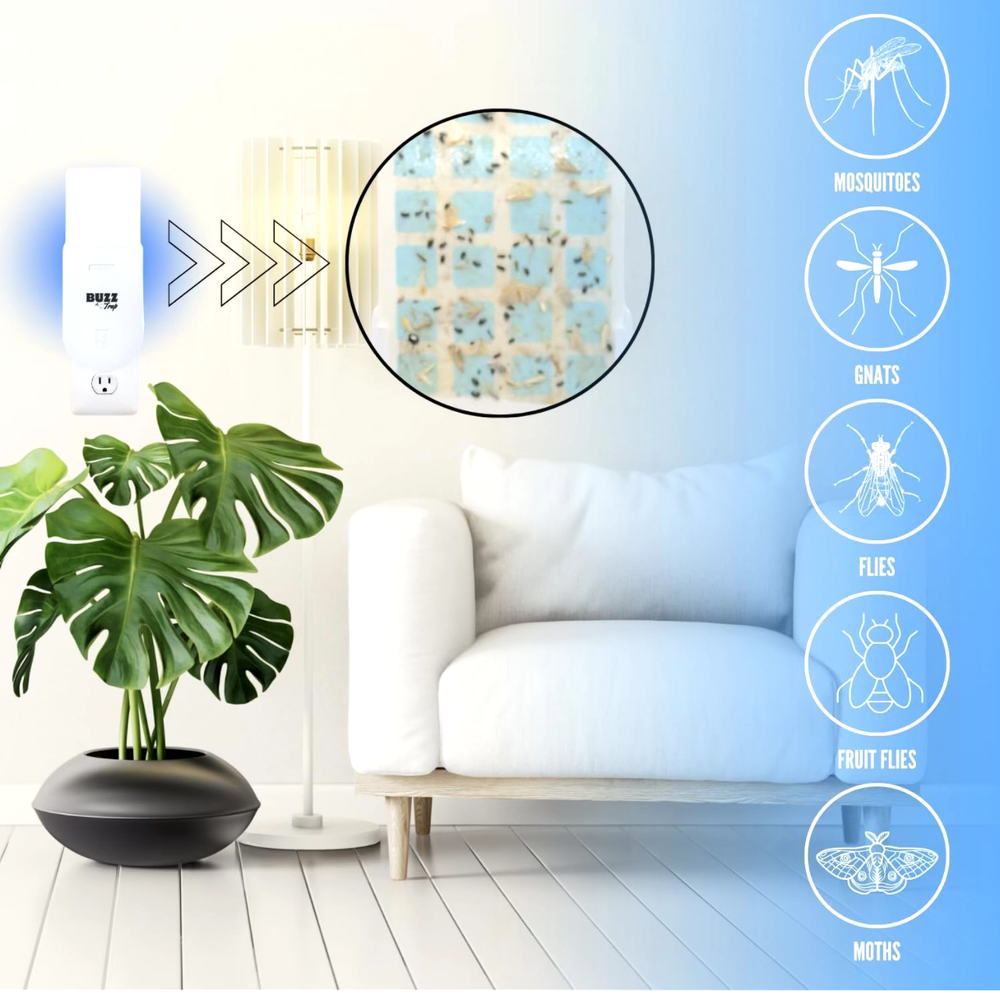 Flying Insect Trap, Indoor Fly Trap, Fruit Fly Traps (1 Device + 13 Refills)