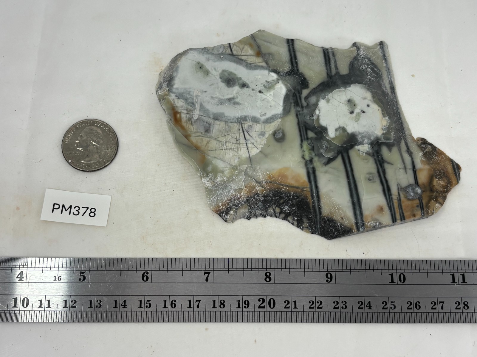 Picasso Marble (Jasper) end Slab Cabbing Lapidary Utah Combo Ship Avail