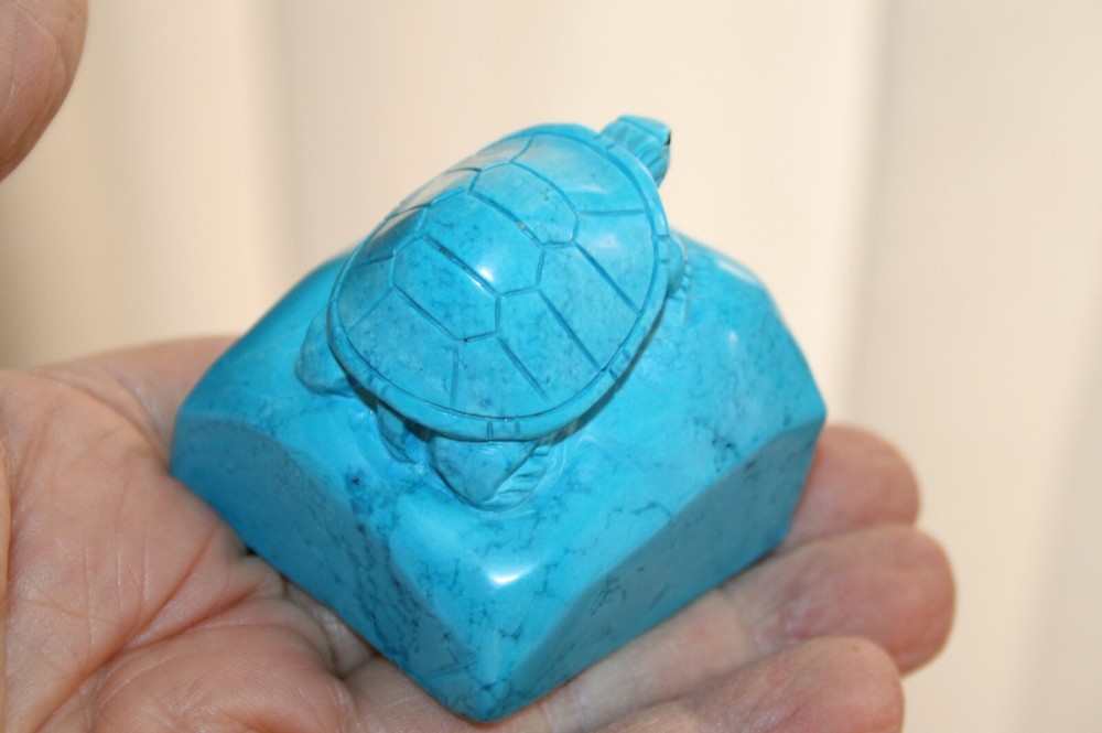 Turtle on a Rock