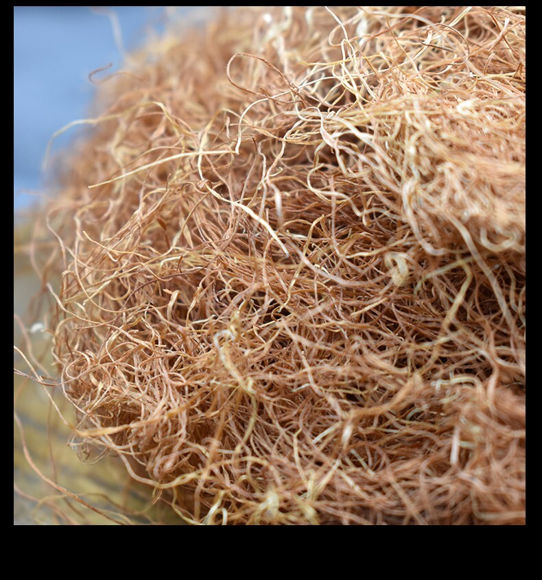 Natural Plant Longevity Recipe 降压茶 玉米 500g 龙须泡水茶 降血压