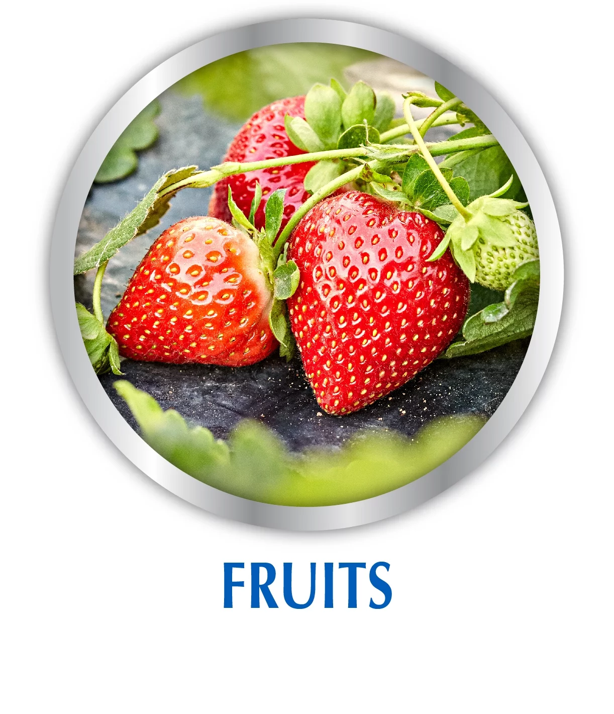 Fish Emulsion Plant Food, 5-1-1 Fertilizer