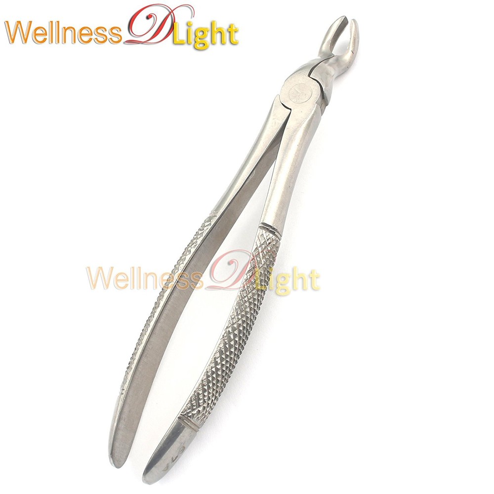 EXTRACTION FORCEPS # F12 UPPER MOLAR Stainless Steel