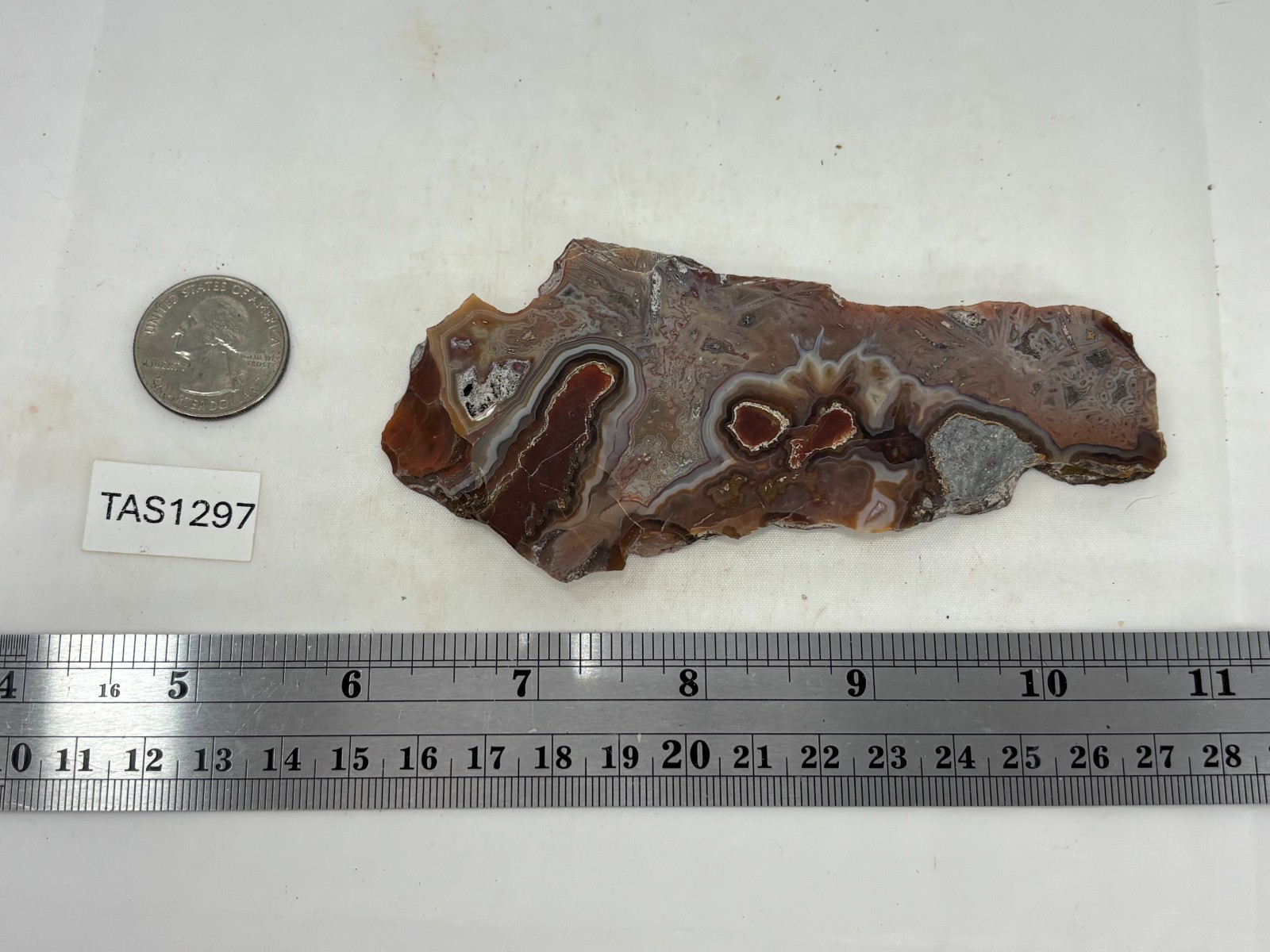 Turkish Stick Agate slab Cabbing Lapidary Collecting Combo Ship avail