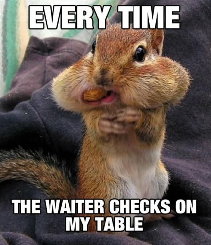 Funny Squirrel  refrigerator magnet 3 1/ 2x 3 1/2