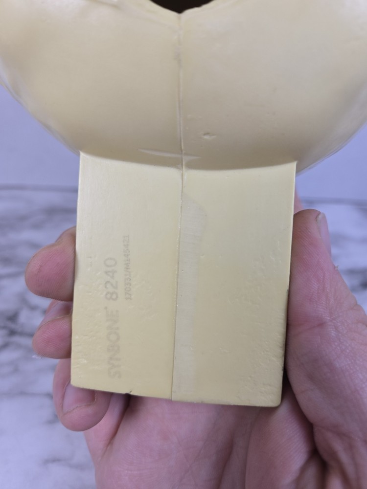 Synbone (8240) Beige Plastic Educational Skull Orthopedic Display