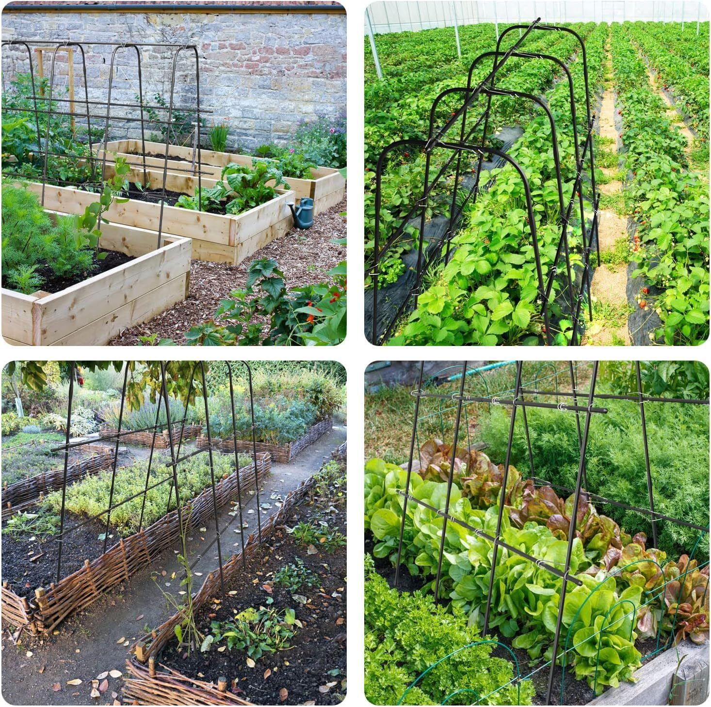 Barbella Garden Arch Trellis Metal Plant Support Trellis Archway for Climbing