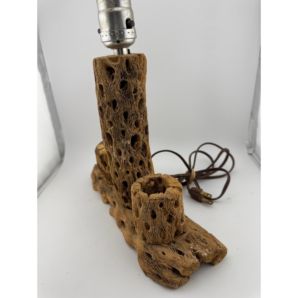 Cholla Cactus Lamp Rustic Desert Decor Table Lamp Unique Accent Lighting