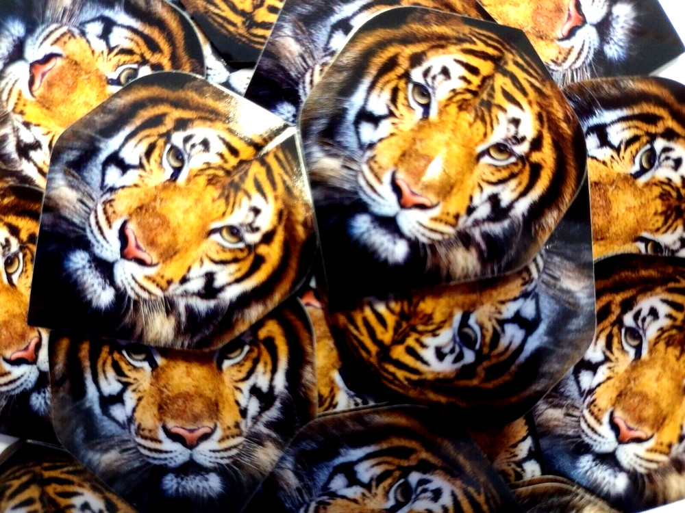DartsClearance Tiger 100 micron Strong Dart Flights 10 Sets DARTSCLEARANCE