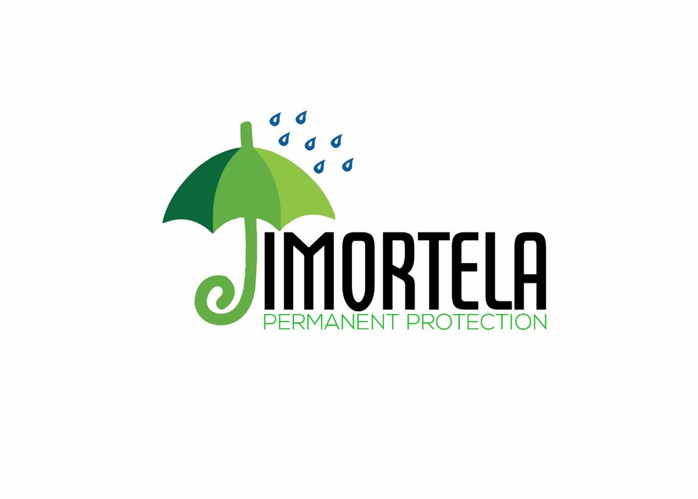 PROFESSIONAL CUSTOM LOGO DESIGN + UNLIMITED REVISION + VECTOR FILE