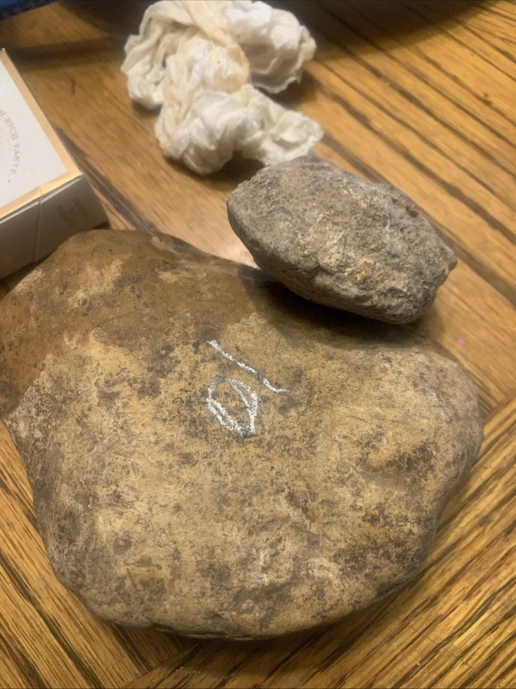 Fossils