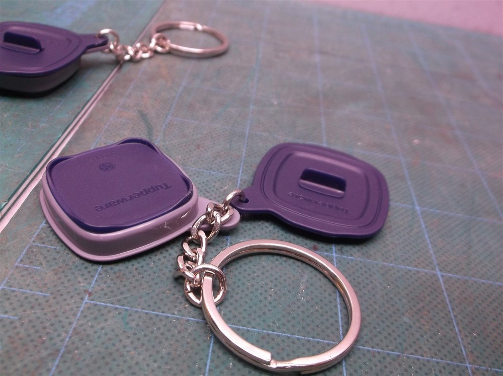 (2) Tupperware MicroPro Grill Keychain