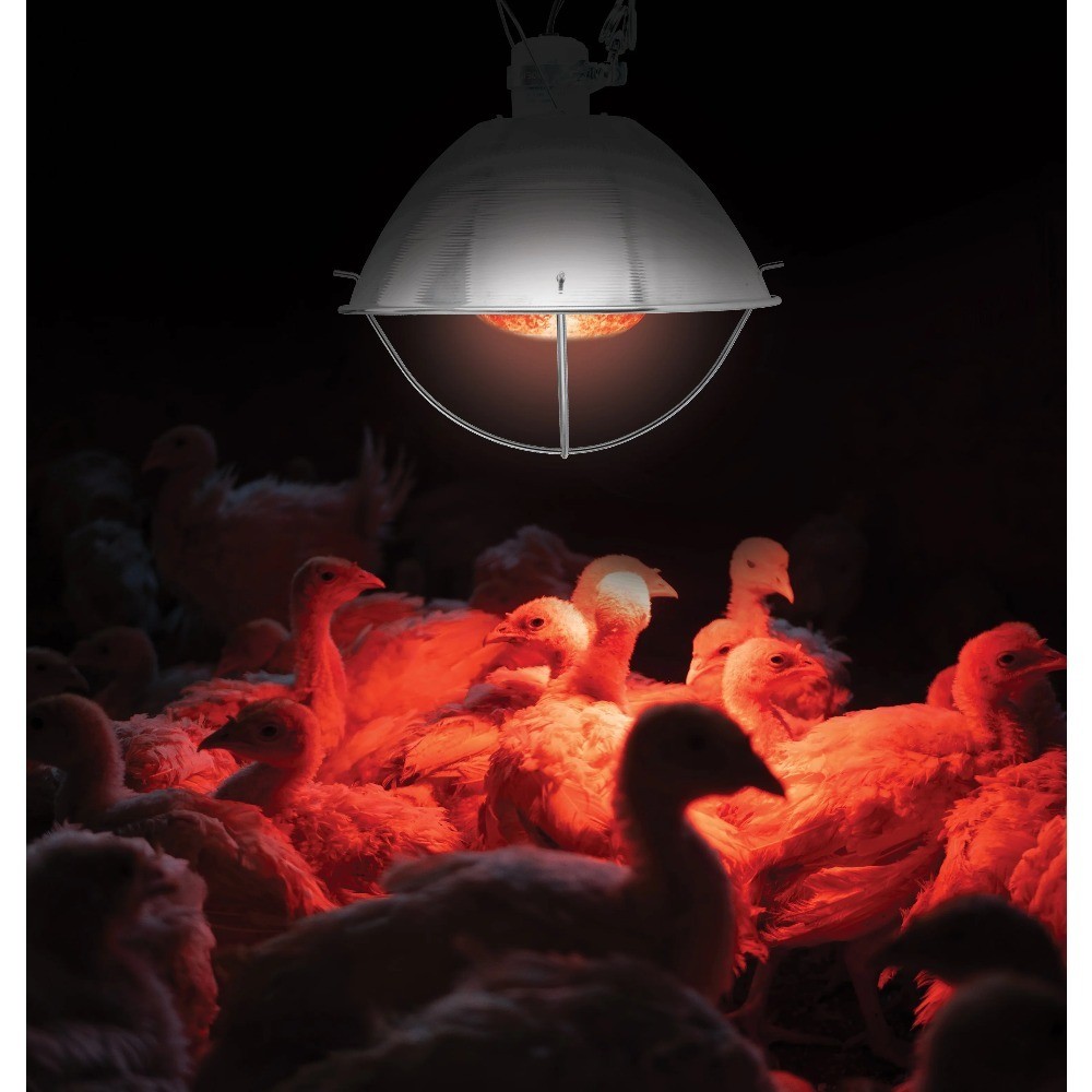 Aluminum Clamp Light 10 Pack 300 Watt Max E26 Socket