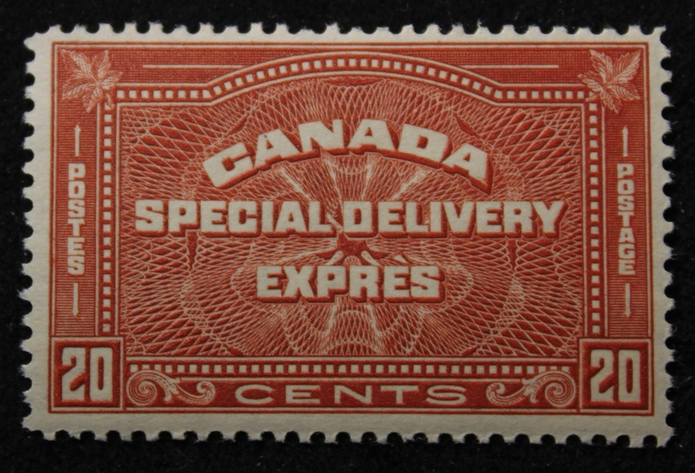 Canada #E5, MNH OG, Special Delivery
