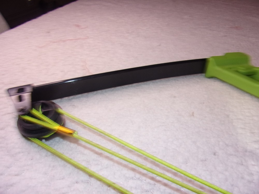 Bear Apprentice Youth Compound Bow