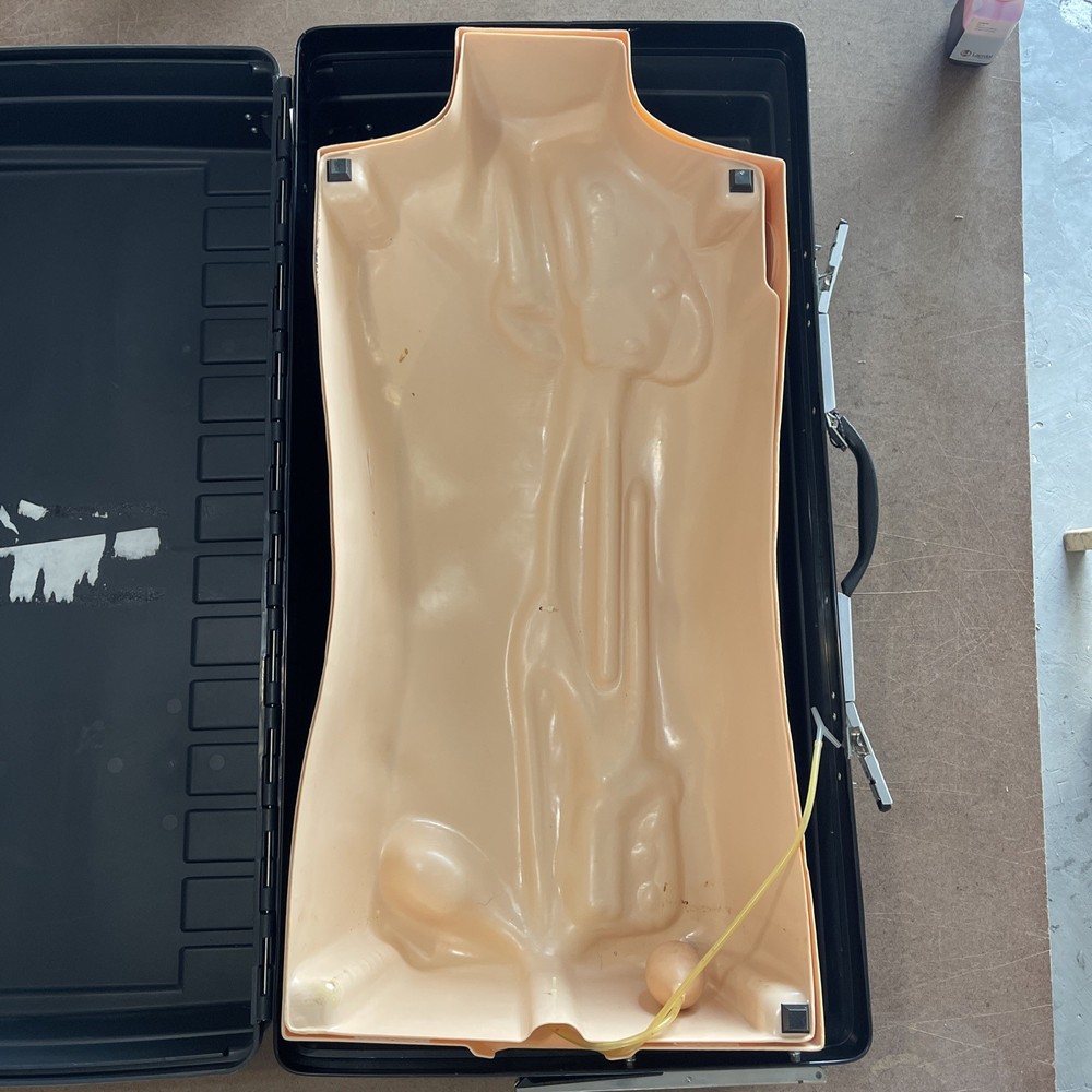 Laerdal IV Torso With Case