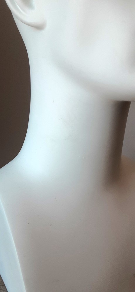 Male Mannequin Display Head