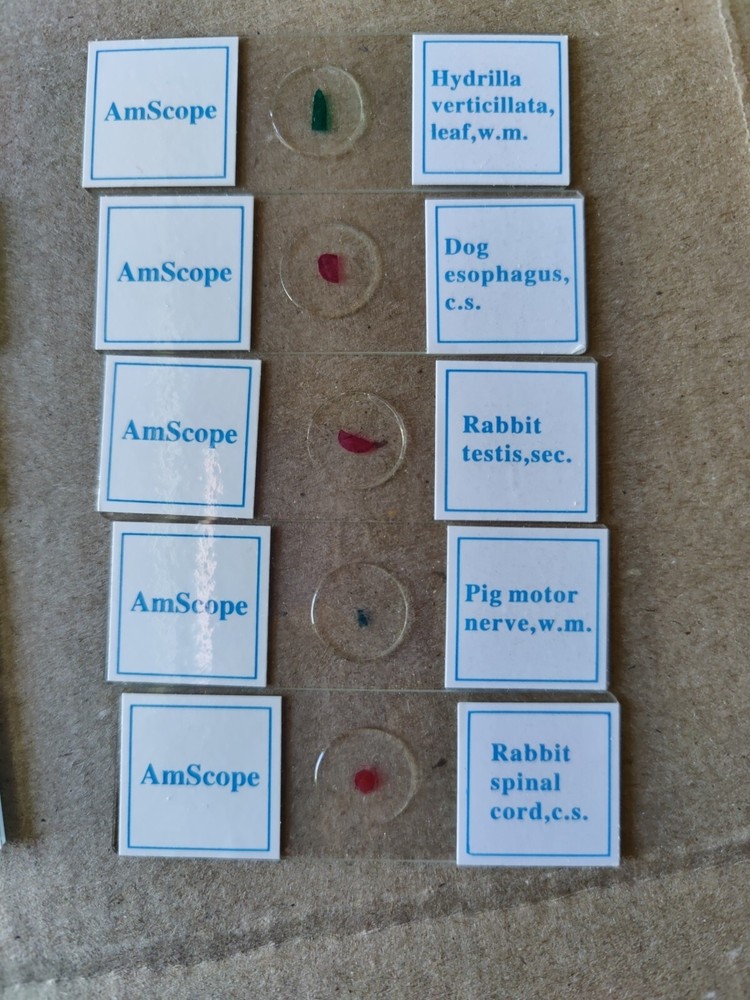 AmScope PS25W Prepared Slides