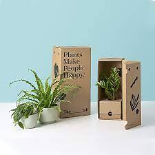 Special Packing For Live Plants