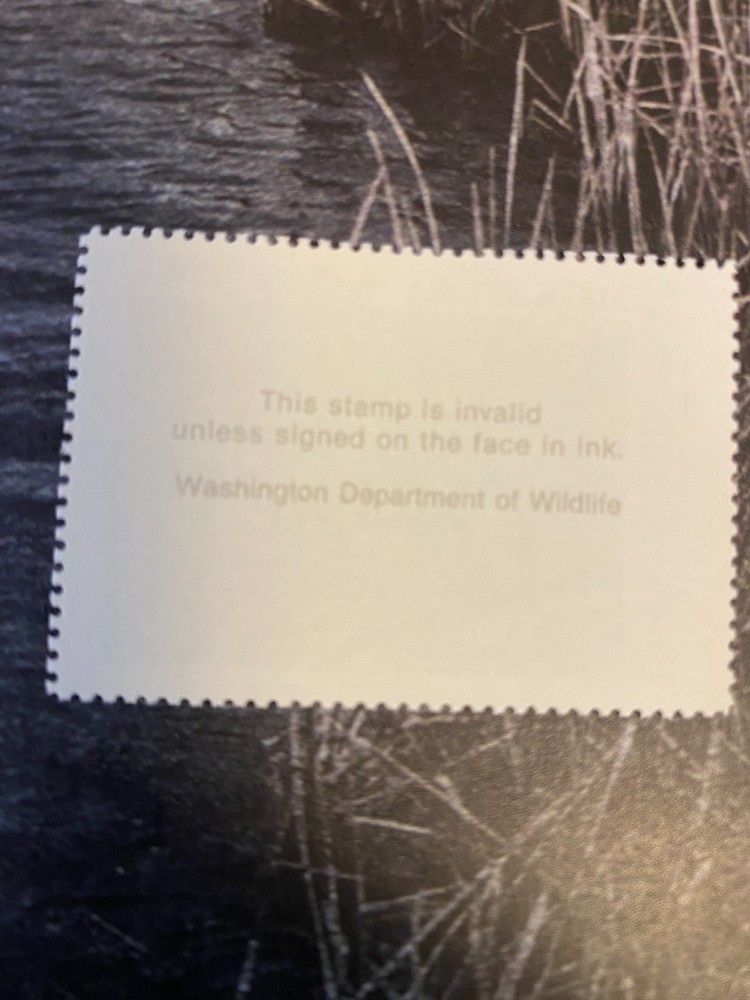 1988 Washington State Duck Stamp,