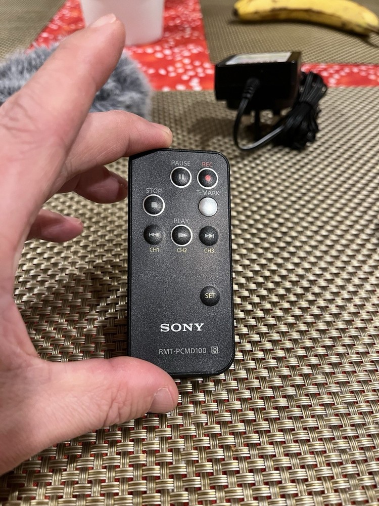 Sony PCM-D100 Digital Recorder Handheld w/ Remote, Windscreen, Case, Power Adapt