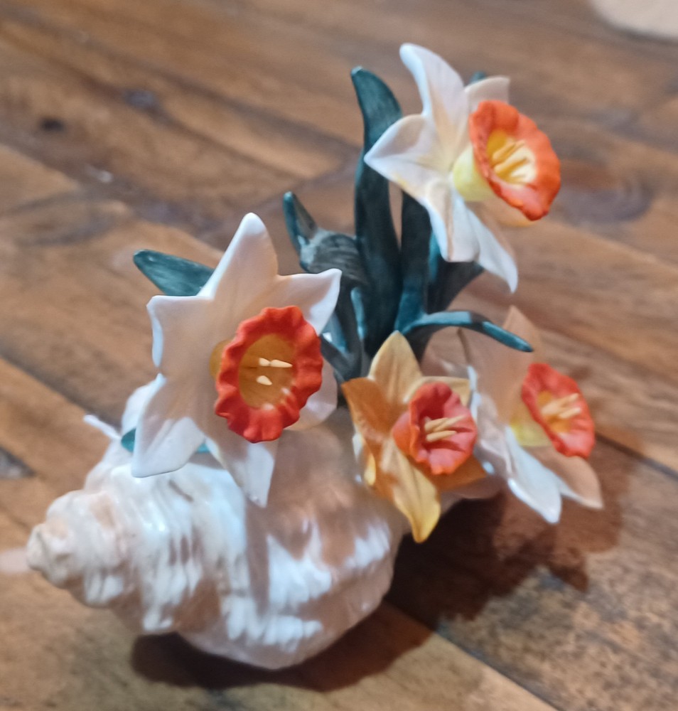 Daffodils In A Sea Shell Beautiful