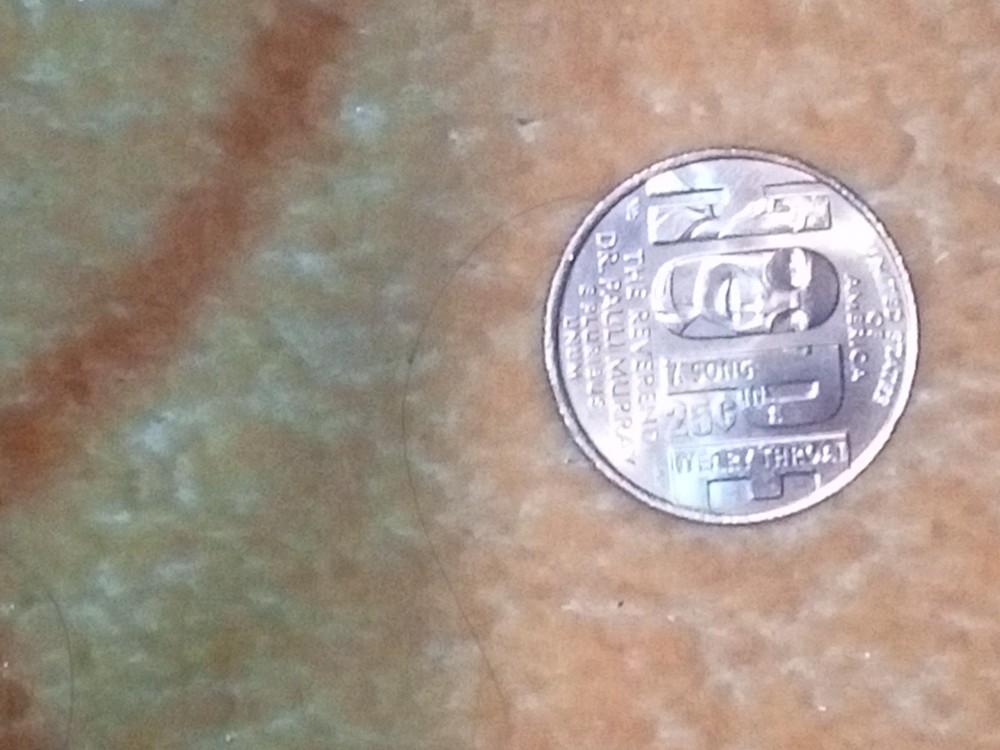 2024 d quarter in cod we trust