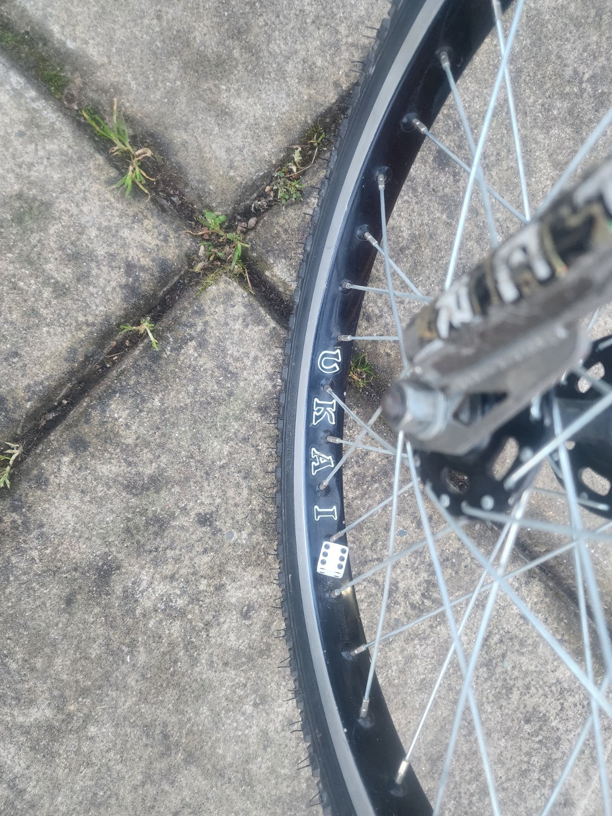 1983 Diamondback Viper Bmx