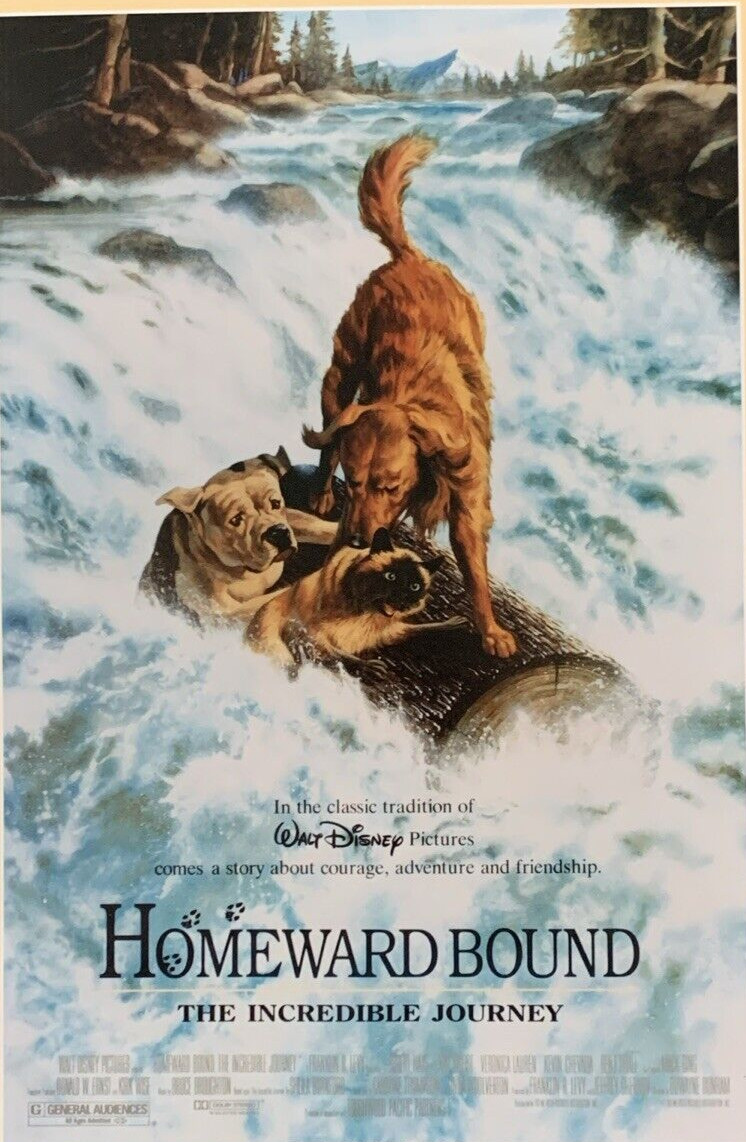 Homeward Bound Movie Poster Incredible Journey 1993 Walt Disney Pictures #0018