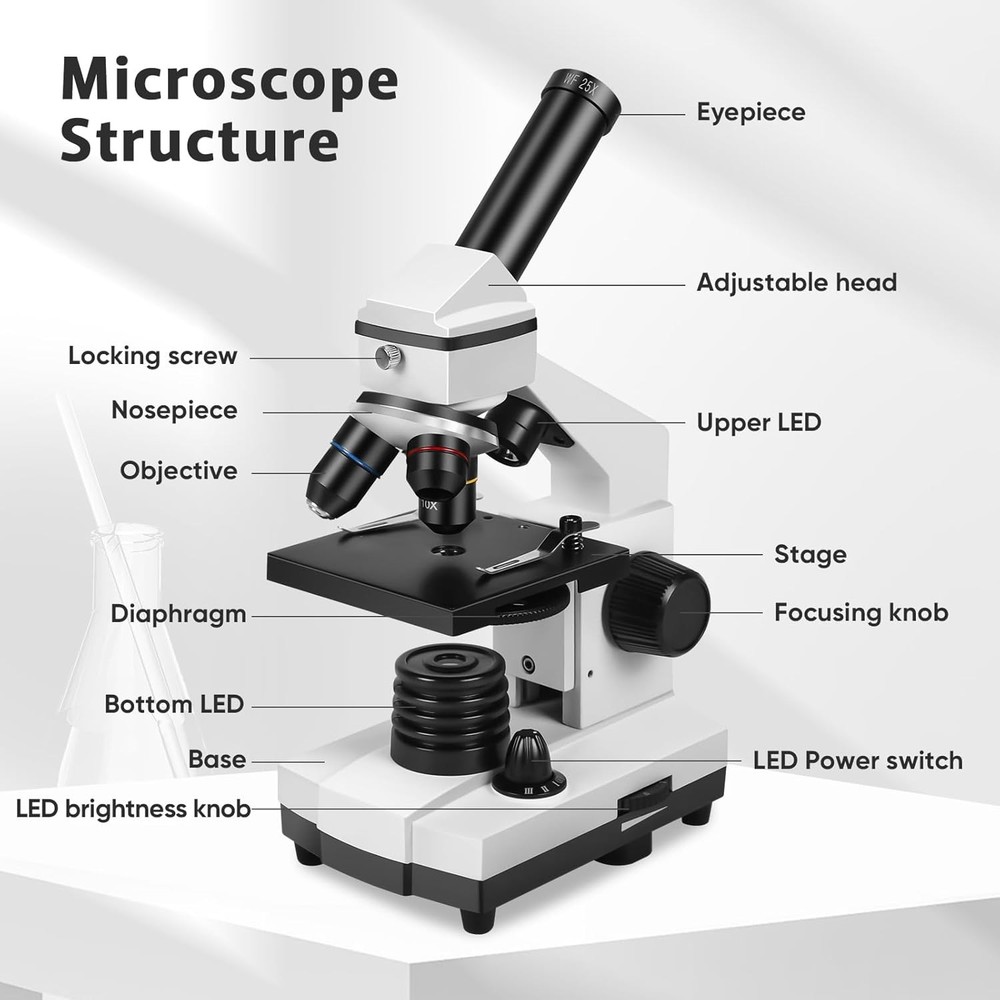 100X 2000X Compound Microscope for Kids