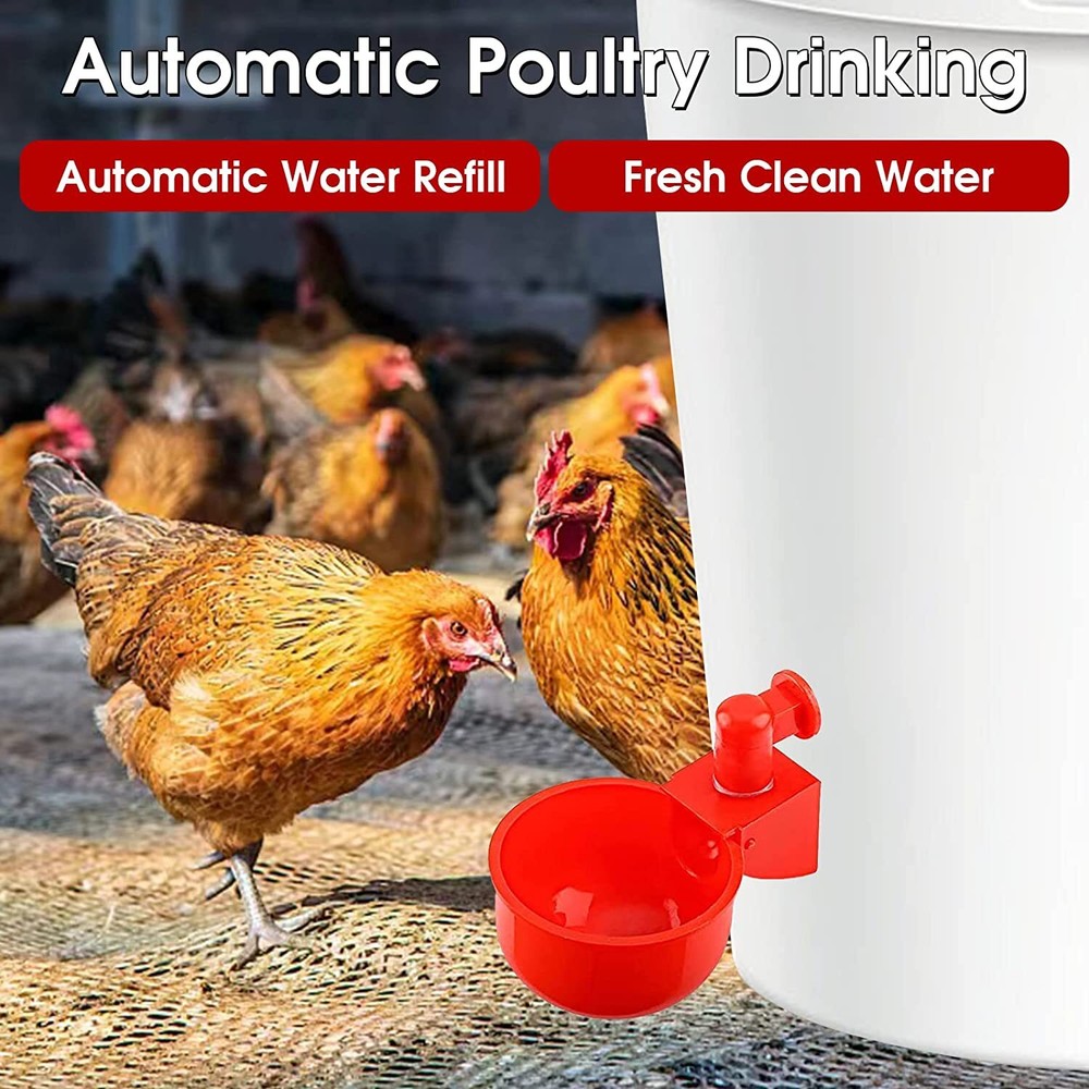 6PCS Automatic Water Cups Poultry Drinker Waterer Chicken Duck Quail Drinking US