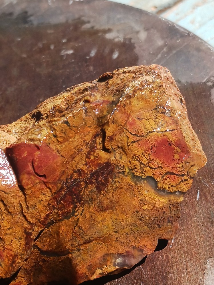 Jasper Agate With Silicized Veinlets Throughout Specimen Red Yellow Jasper