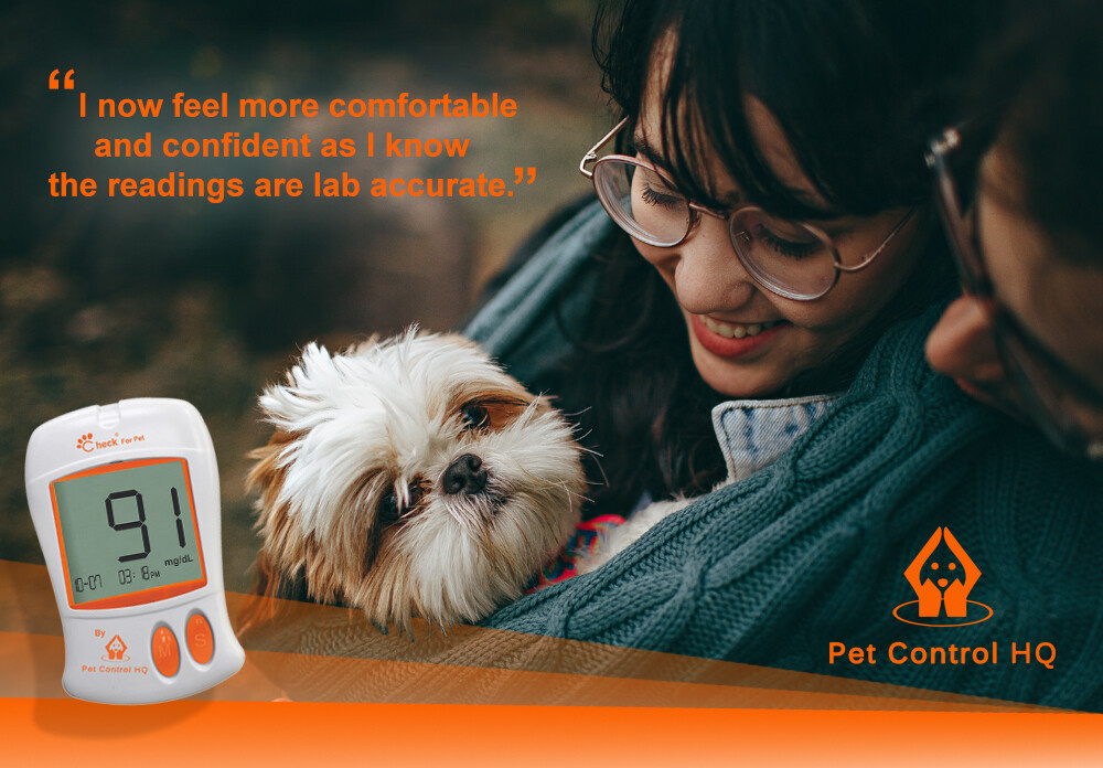 Blood glucose meter monitor dog cat glucometer dogs diabetes sugar insulin pet