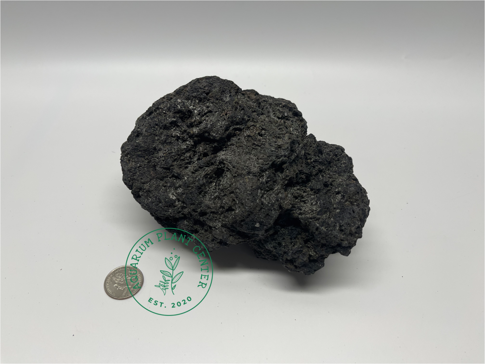 Black Lava Rock (Fuji Stone) / Planted Aquarium / Decoration/Hardscape/Aquarium