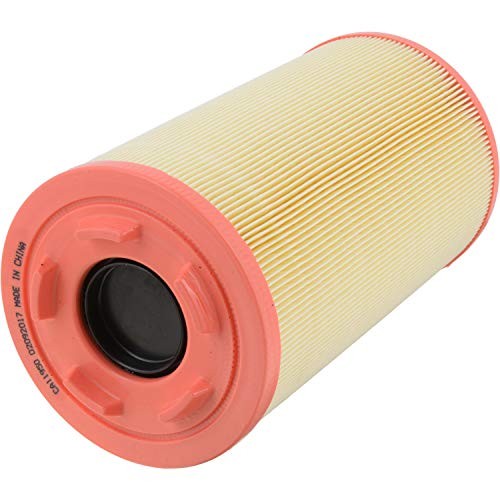 Extra Guard CA11950 Replacement Engine Air Filter for Select Ram One Size