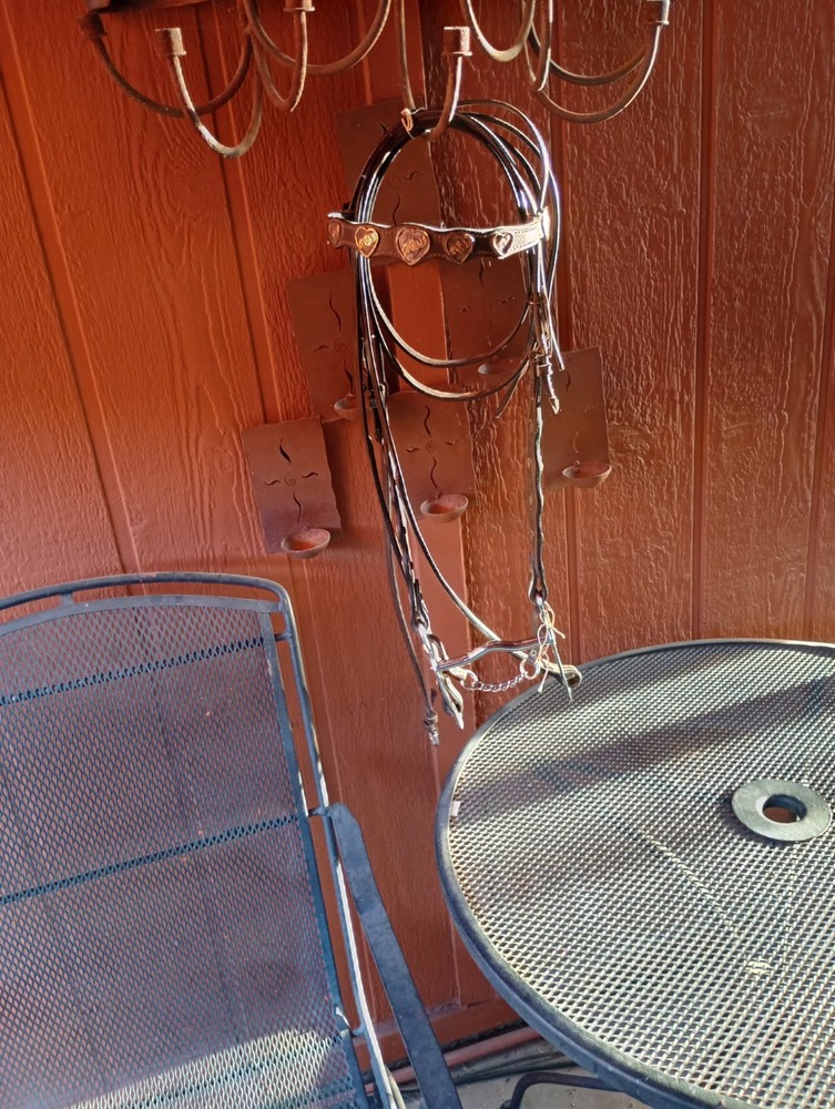 Fancy Custom Made briddle And Bit