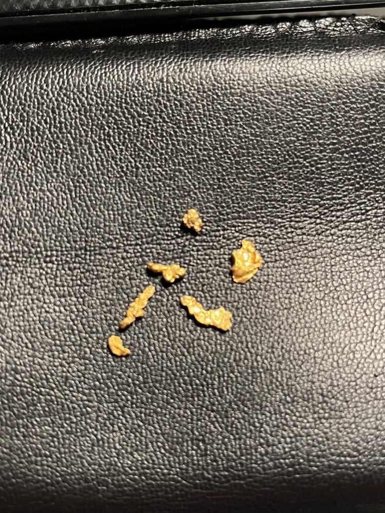 6 ALASKA GOLD NUGGETS 1.02 GRAMS SMALL/MEDIUM SIZE NICE