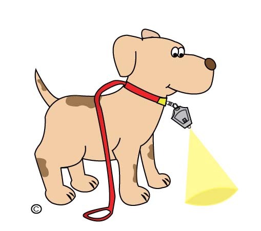 MICRO LIGHT GUY-5 Pack-MINI LED KEYCHAIN FLASHLIGHT SUPER BRIGHT PHOTON BEAM