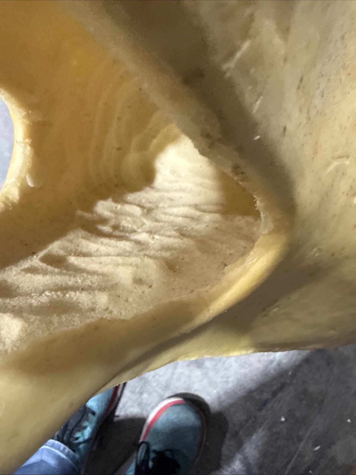 Van Dyke Large Bear Rug Shell Form Open Mouth 1992