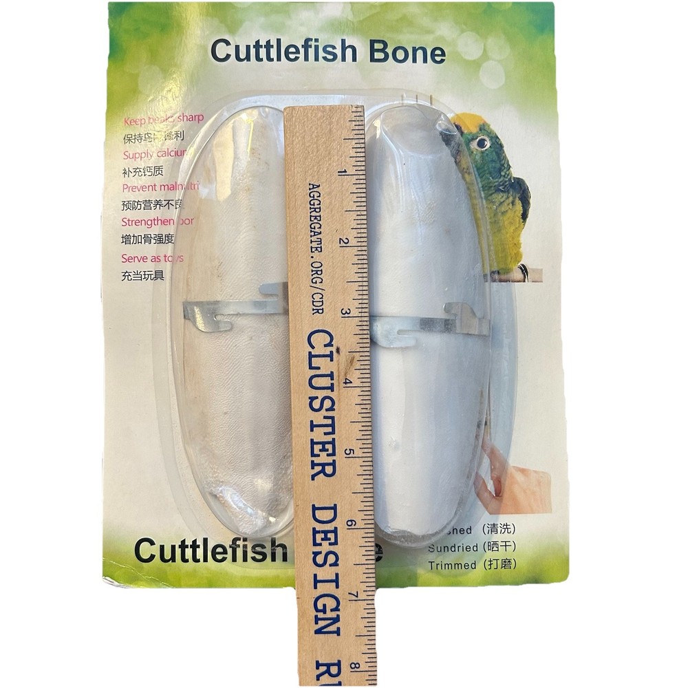 Cuttlefish Bone Bird Cuttlefish Bone