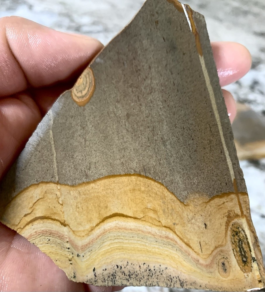 Shadow Mountain Picture Jasper Slab