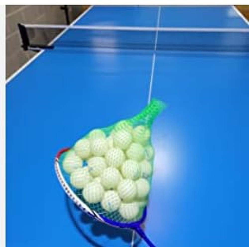 Ping Pong Ball Picker