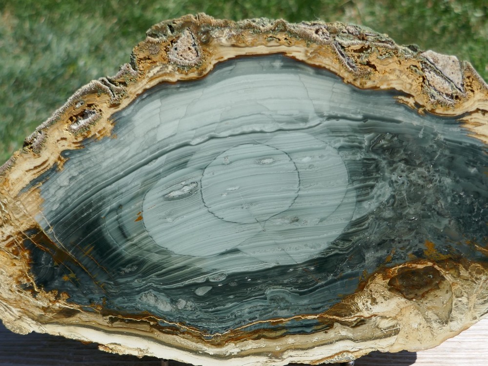 Blue Mountain Jasper *Polished Slab 457g– Orb Patterns & flowing streamers