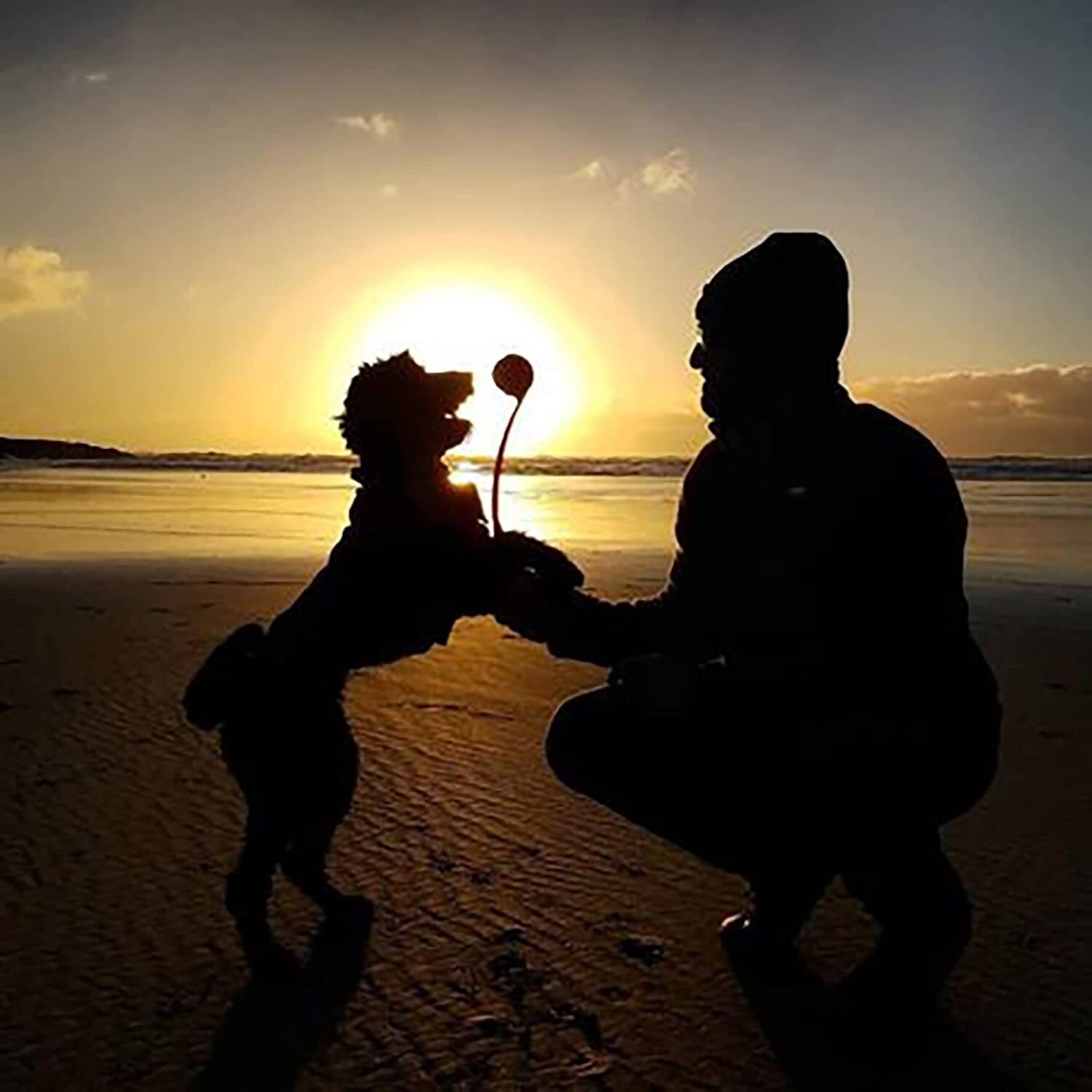 Chuckit! CLASSIC BALL LAUNCHER 26-inch For Medium Balls - Dog Fetch Toy